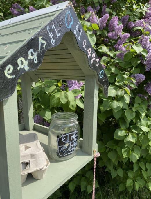 The Annex: 2 Bedroom Cottage, Countryside, Peaceful Getaway With Garden Easingwold Esterno foto